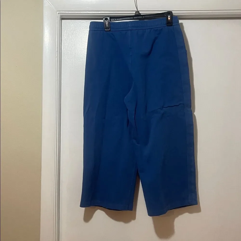 Walt Disney World 50th vault collection crop sweatpants size large